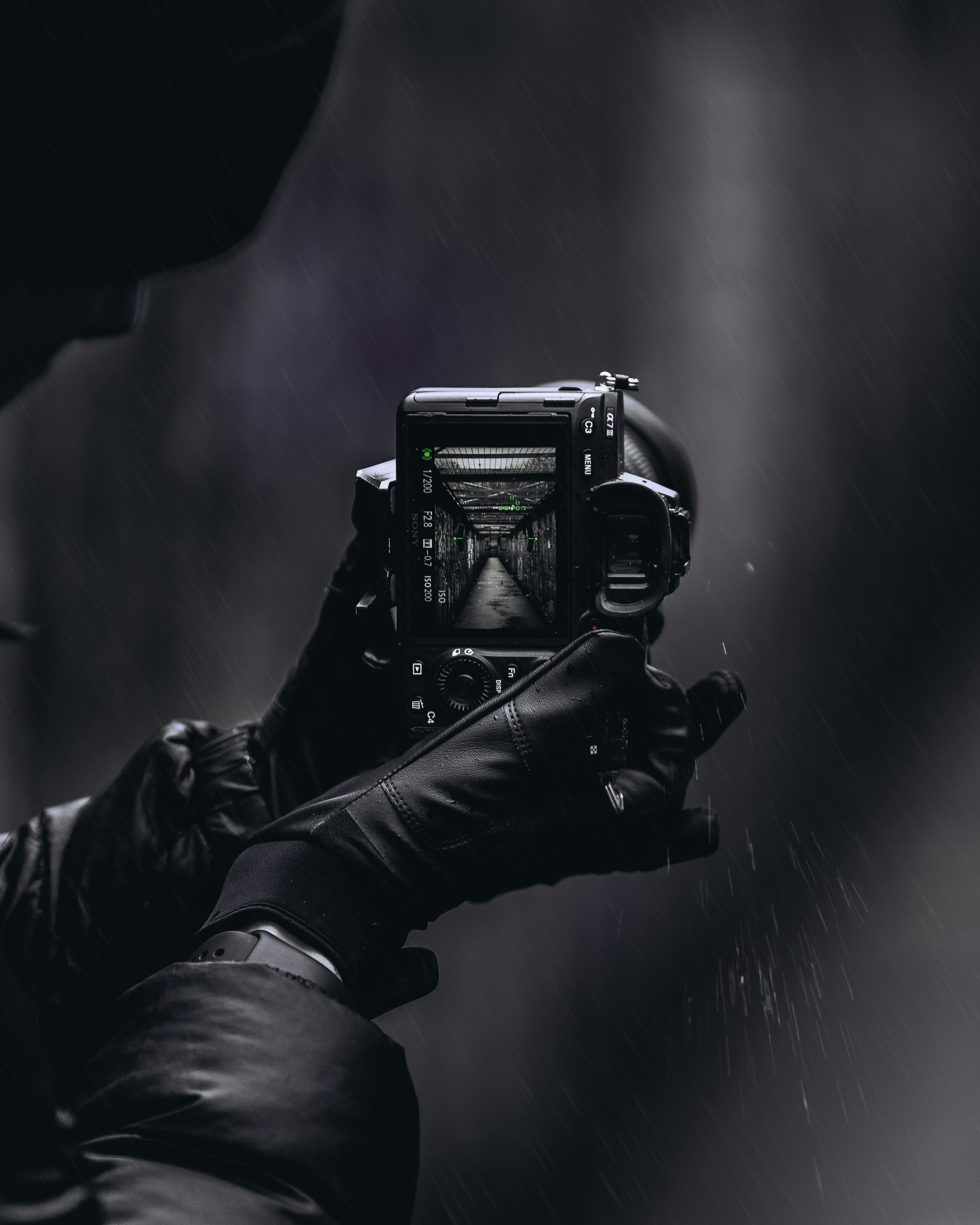 Photo by bradstarkey