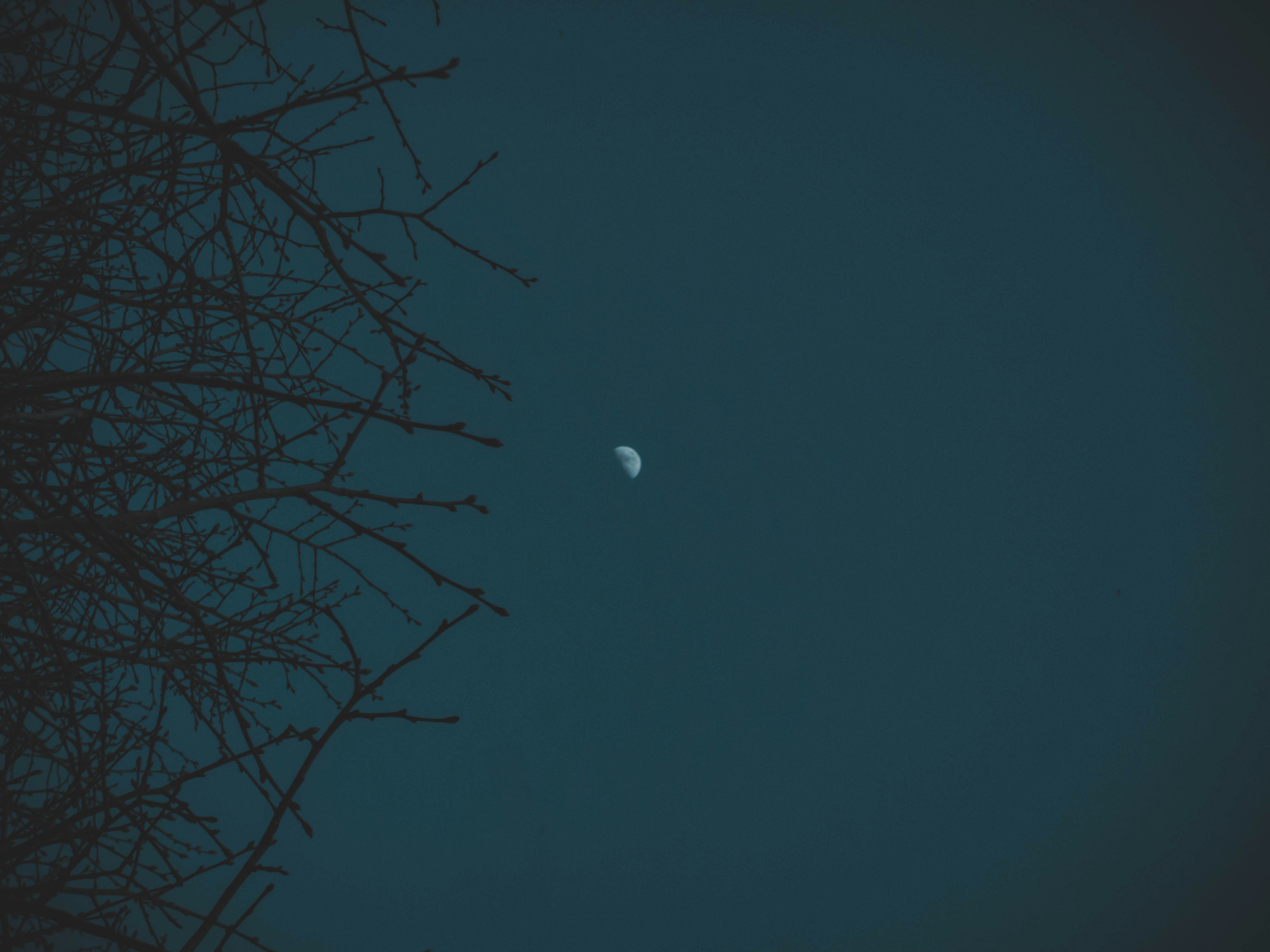 Human Society's Struggle to Adapt (image credits: unsplash)