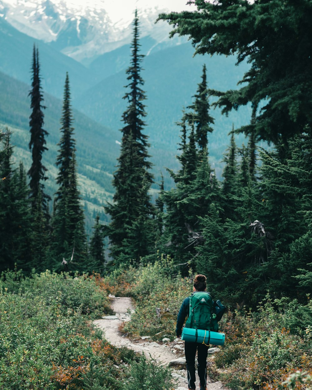 a person walking up a trail in the mountains