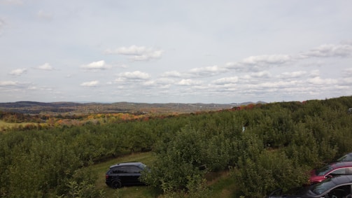 A scenic view of the Drôme region, showcasing the quince orchards.