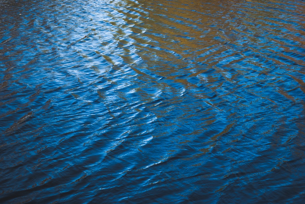 Plan d’eau pendant la journée