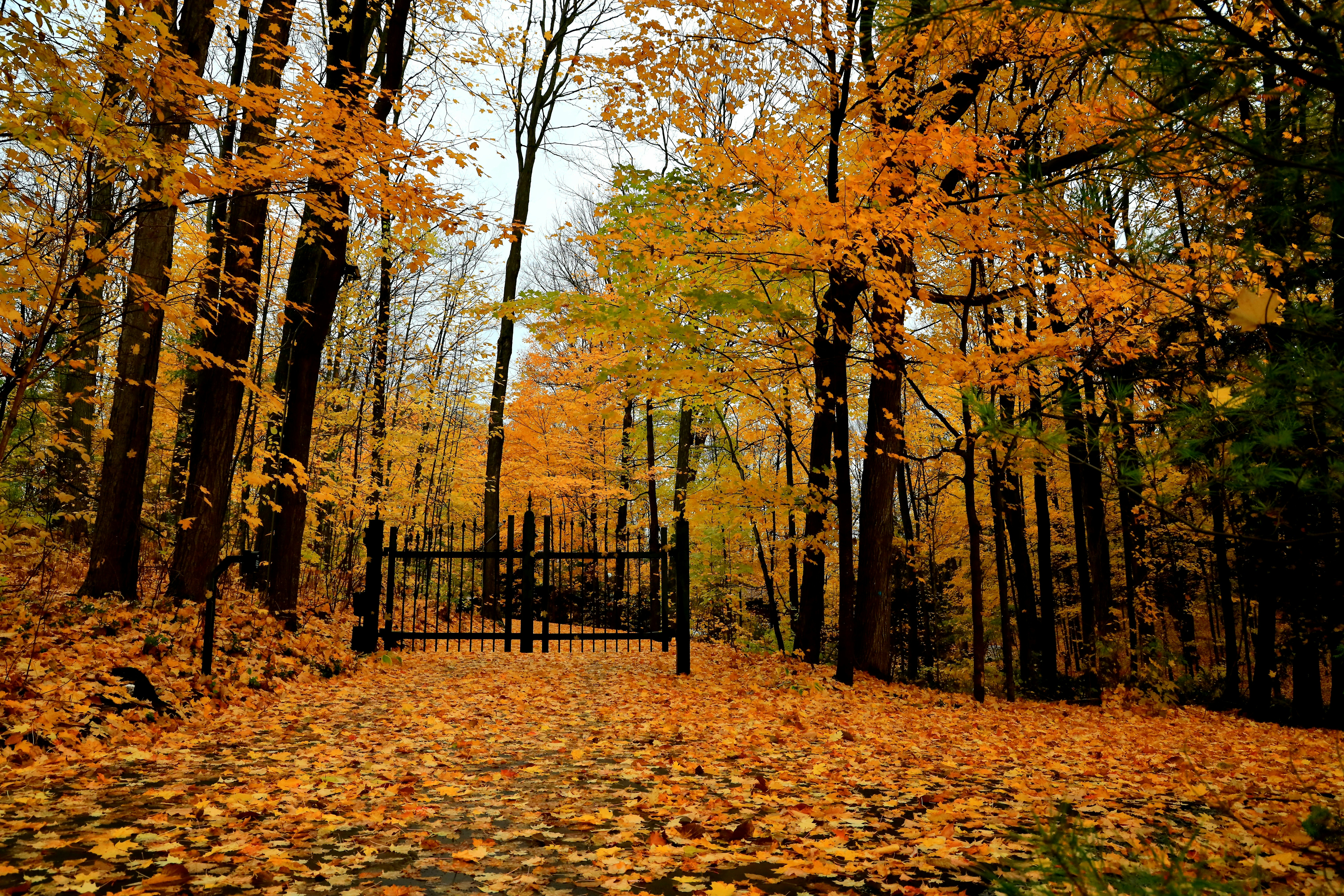 Photo by richardworks