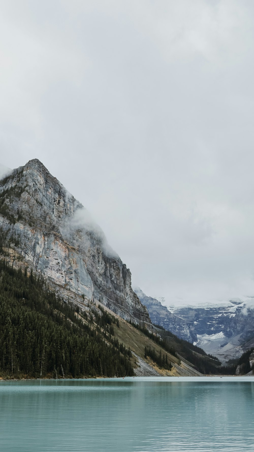 Grünes Grasfeld in der Nähe von Rocky Mountain unter weißem Himmel tagsüber