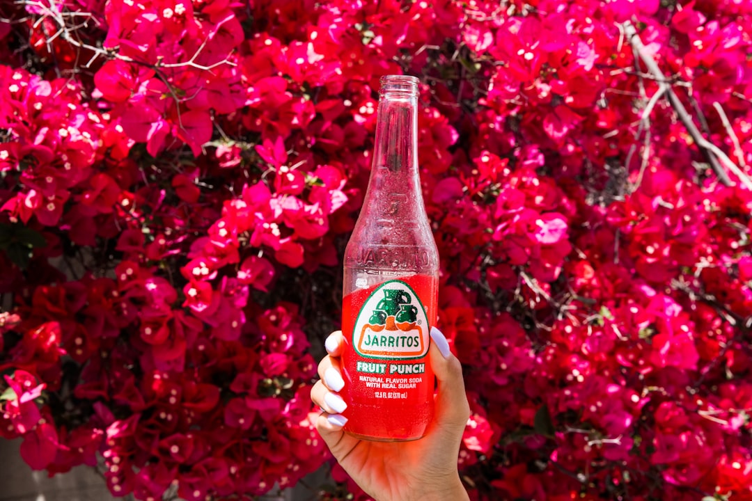person holding red wine vinegar bottle, Jarritos Fruit Punch Bottle and Flowers