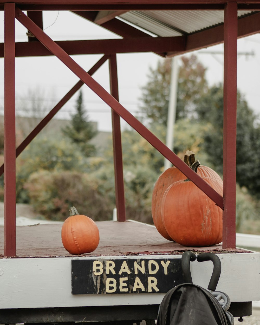 pumpkin on brown wooden fence