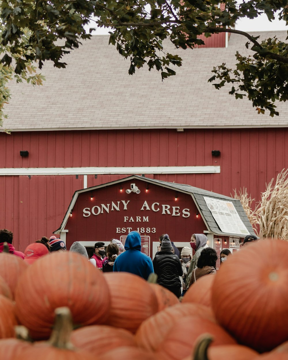 people standing near red and white wooden building during daytime