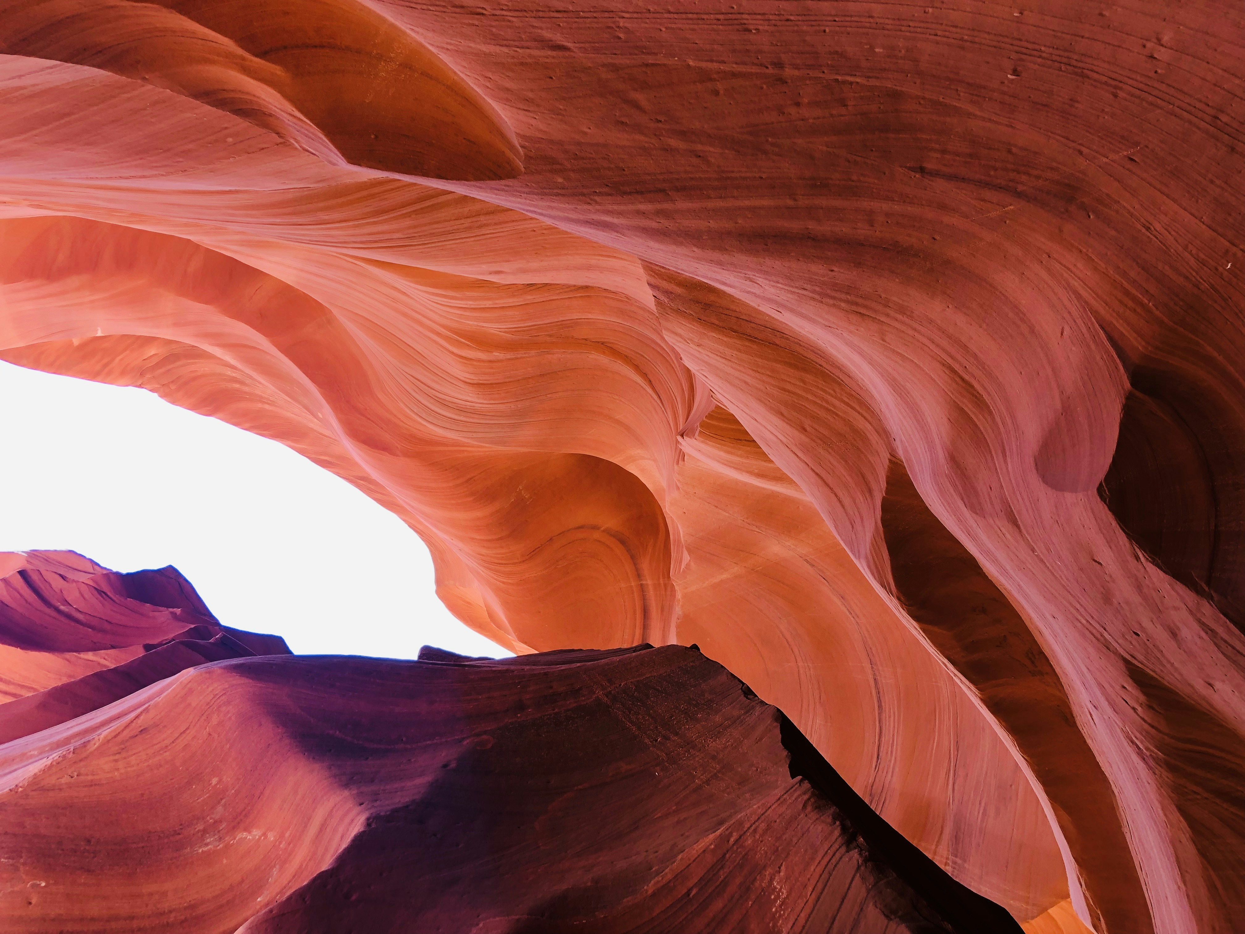 Photo by cokakukeran