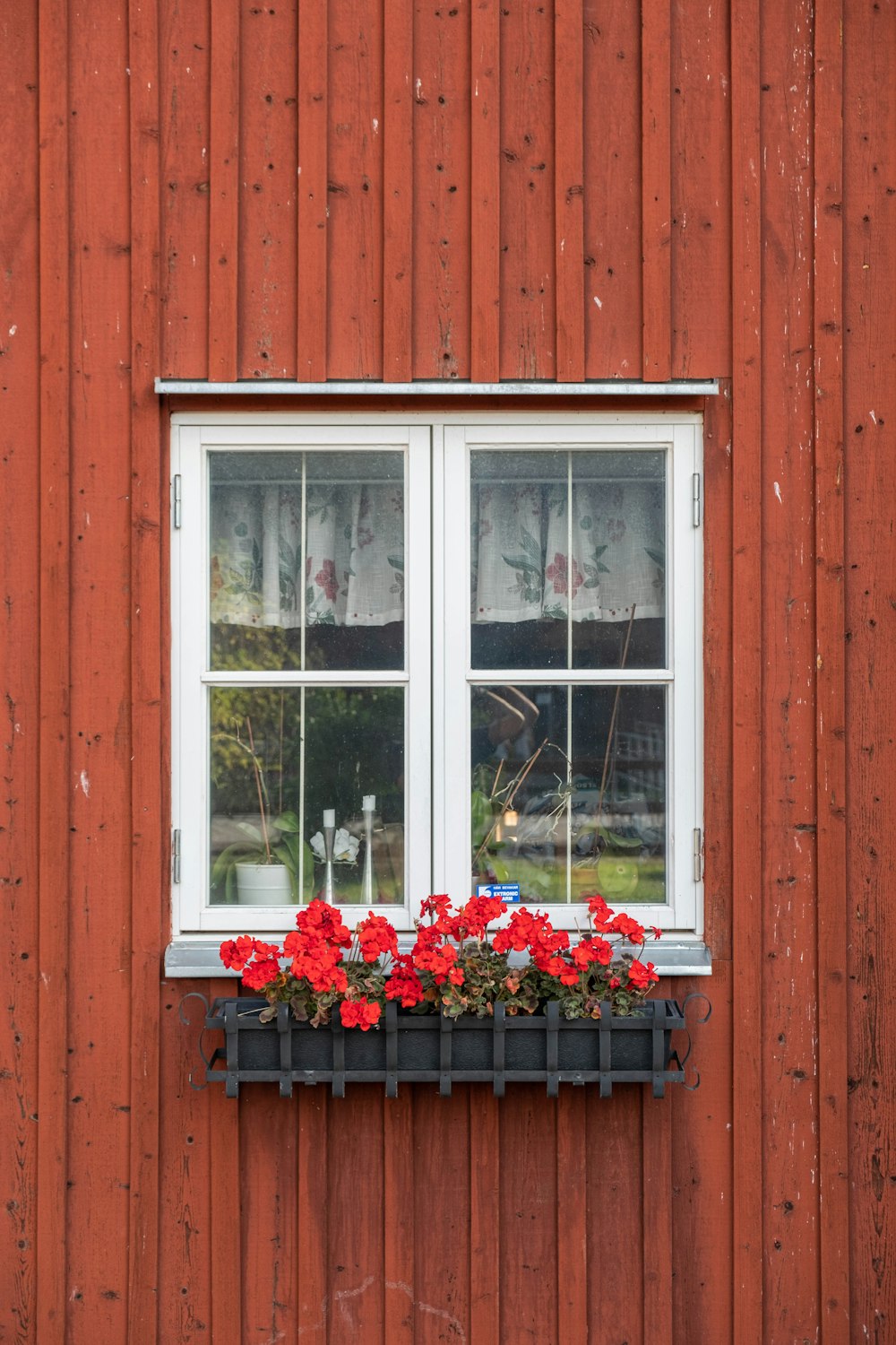 黒い木製のテーブルに赤と白の花