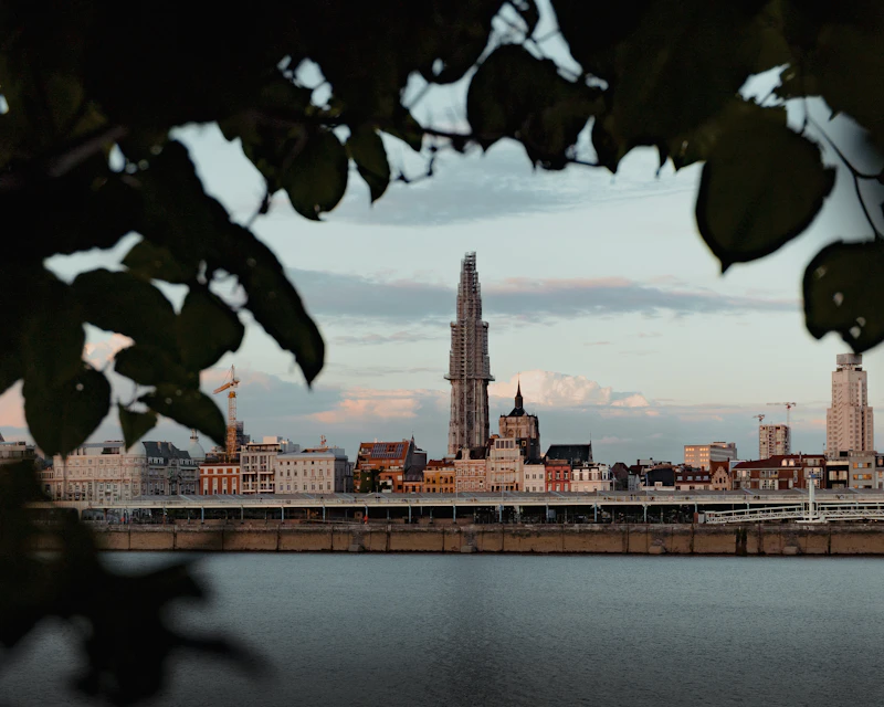Most Aesthetic Cafes in Antwerp for Photos and Good Coffee