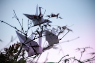 Close-up of hands releasing colorful paper cranes into the sky at sunset.