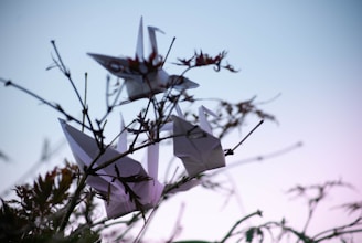 Close-up of hands releasing colorful paper cranes into the sky at sunset.