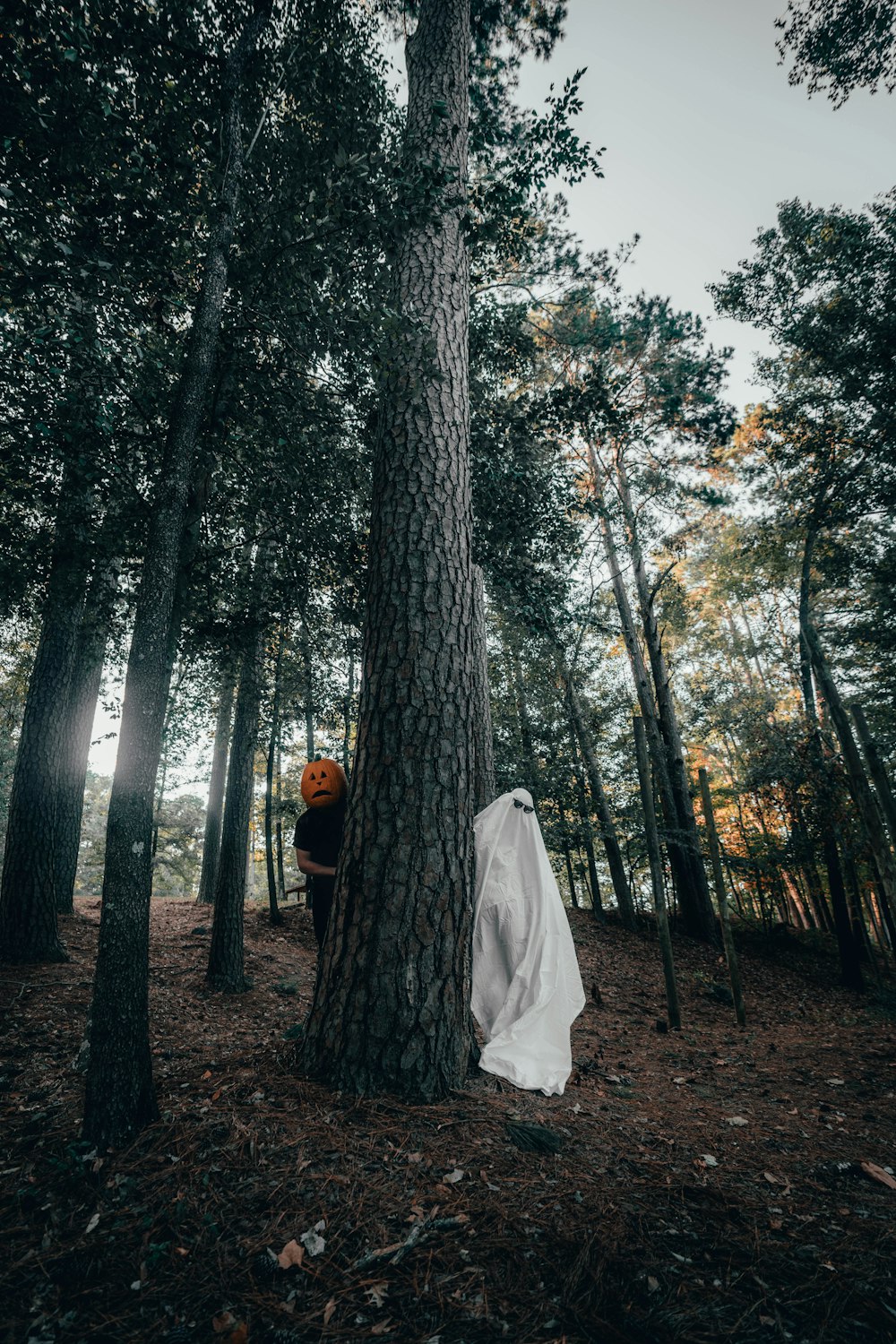 woman in white dress standing in the woods during daytime