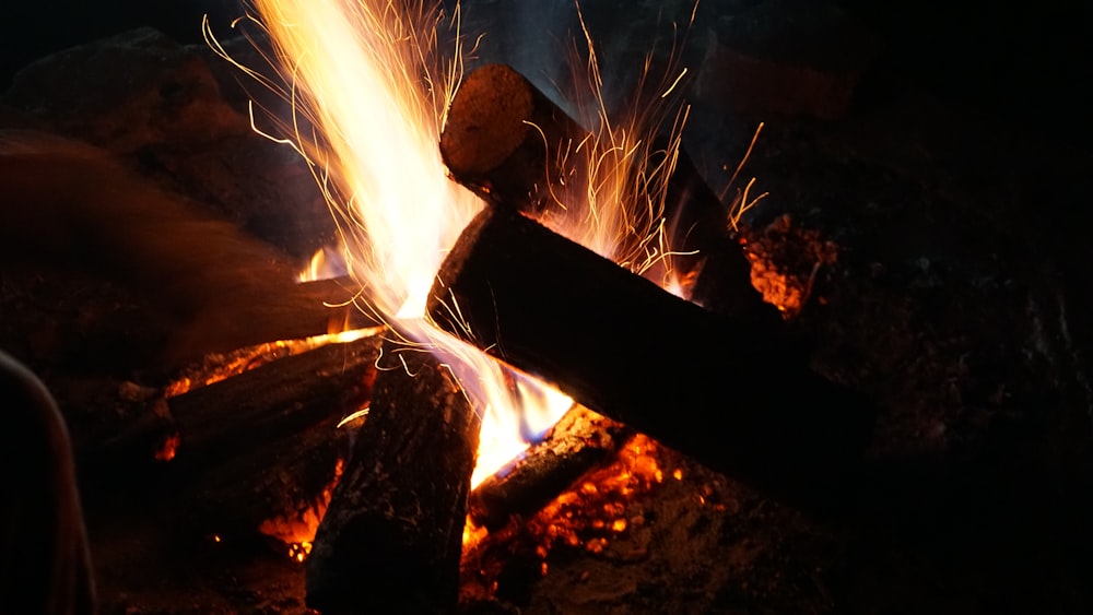 fire on brown wood log