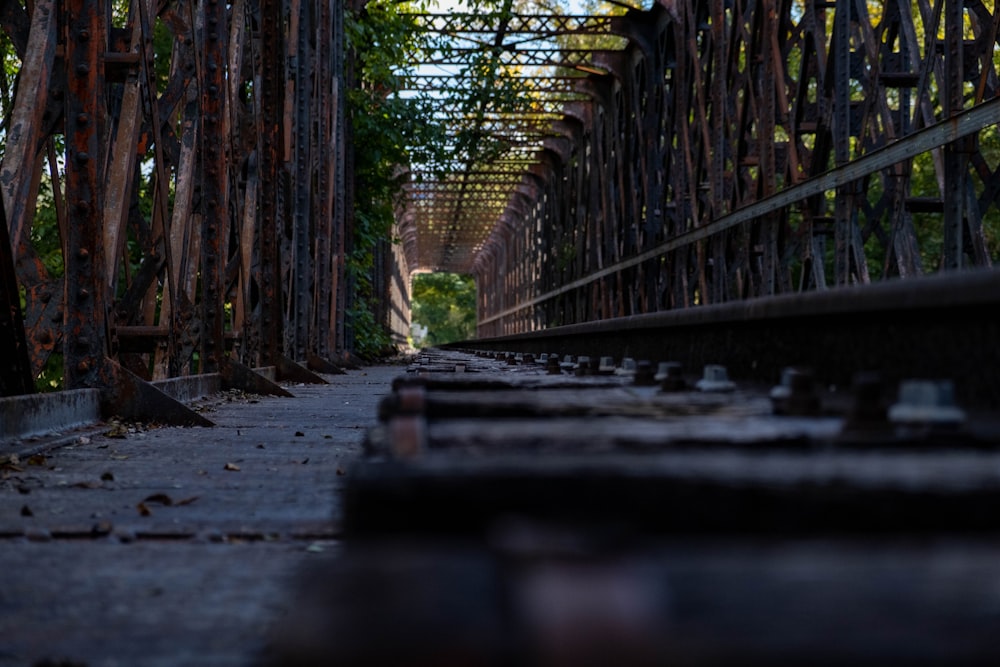 brown wooden bridge in forest during daytime