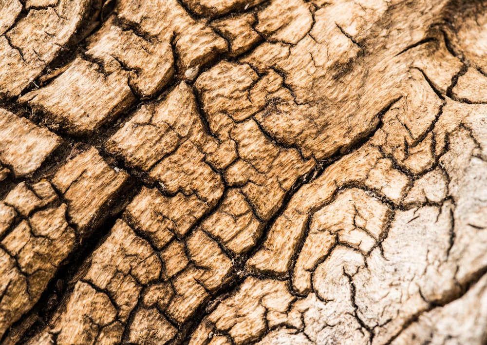 brown and black wooden surface