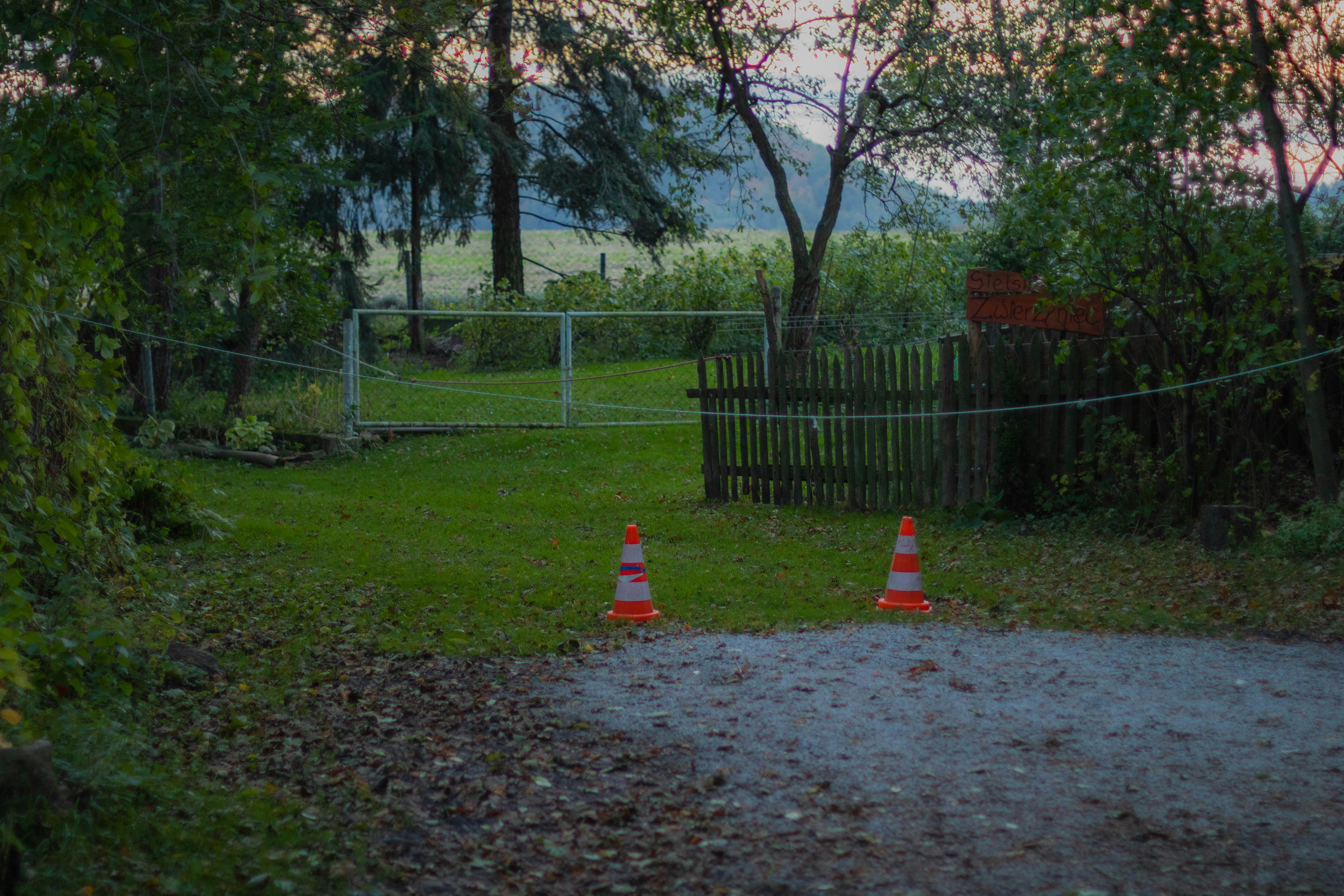 red fire hydrant on green grass field
