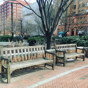 Custom wooden benches and tables installed in a public park setting.