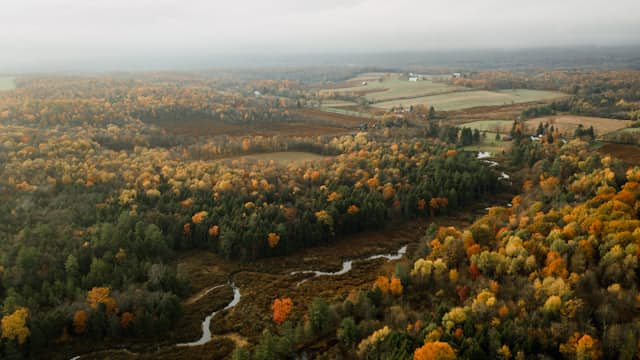 Pennsylvania