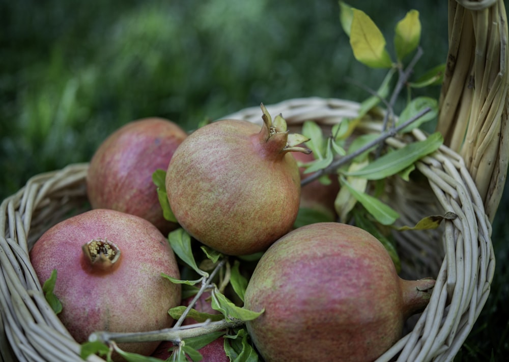 pomme rouge sur feuilles vertes