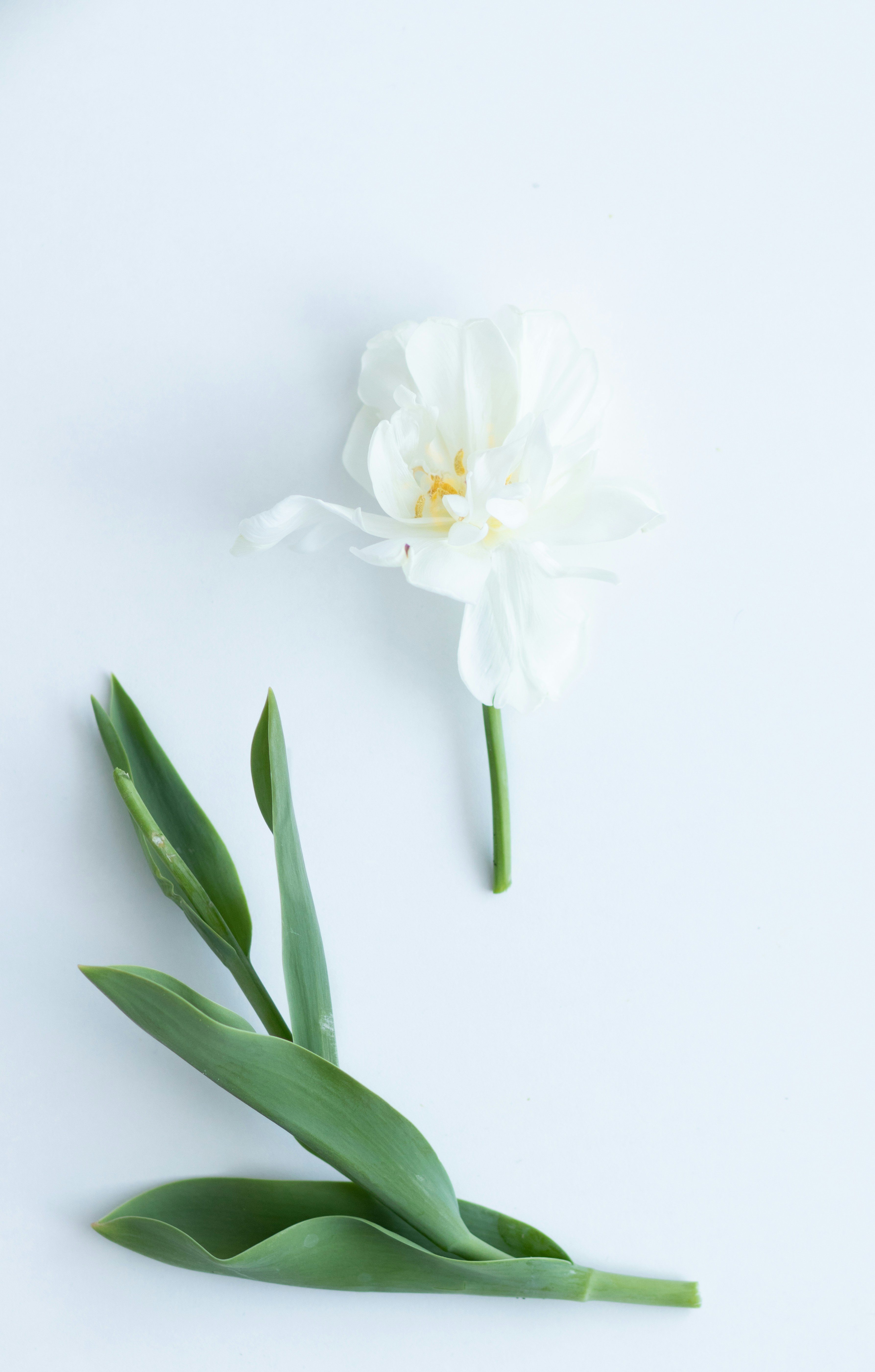 Photo by joliejennyphotography