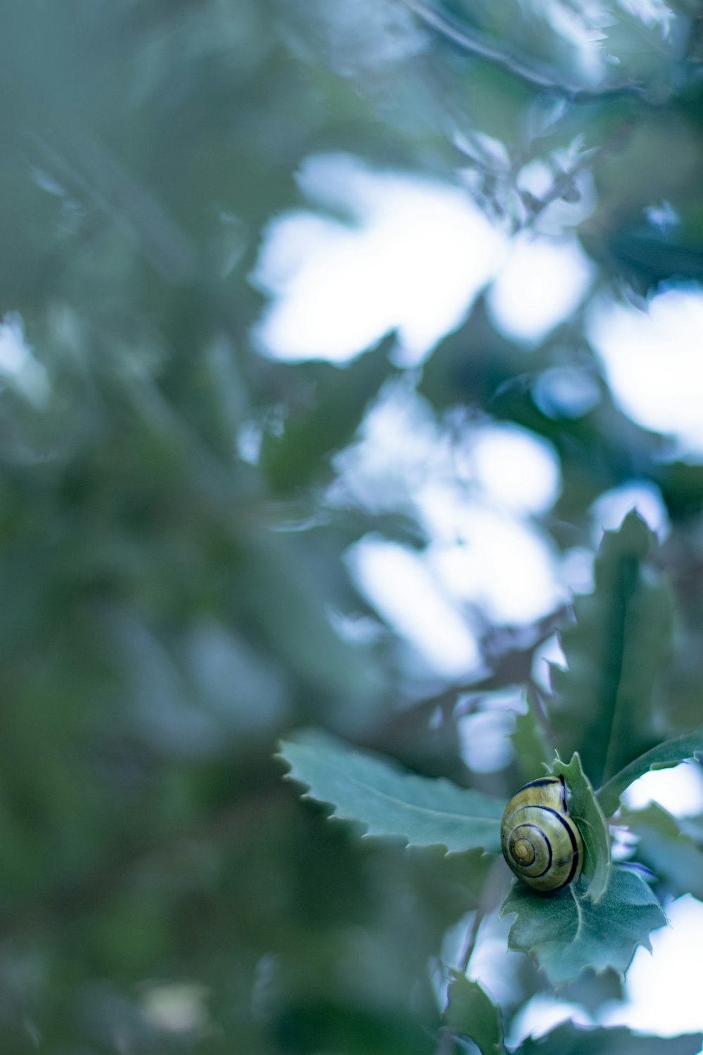 green plant with water droplets