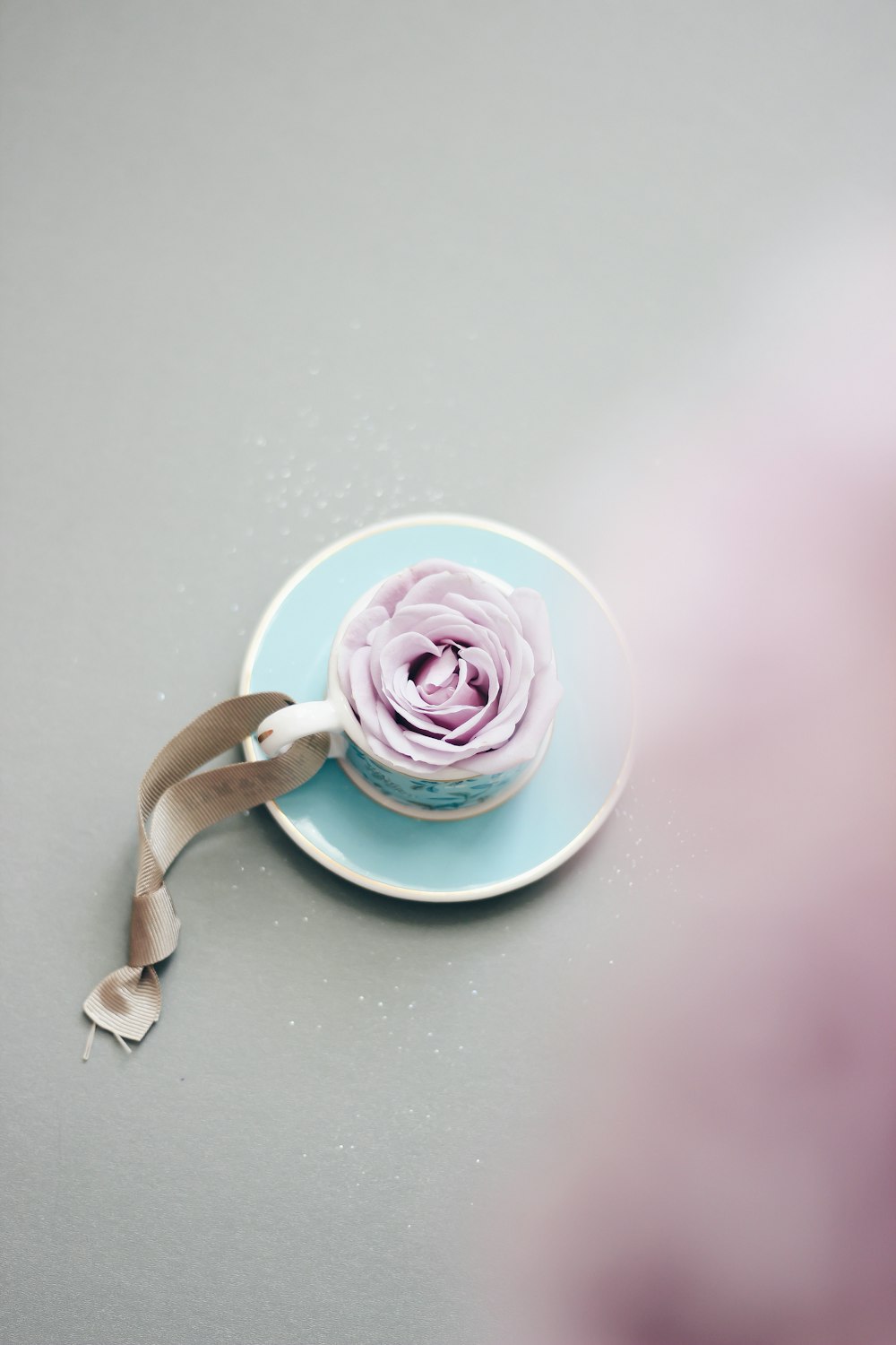 rosa rosa na xícara de chá de cerâmica branca