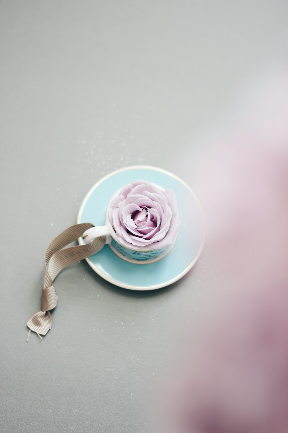 pink rose on white ceramic teacup