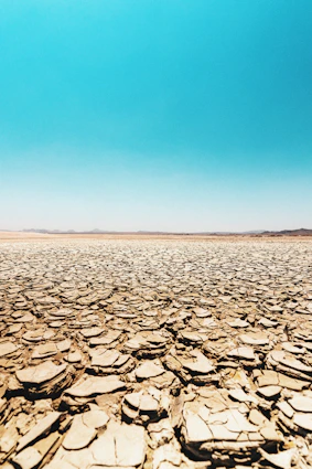gray and black rocks on brown sand under blue sky during daytime