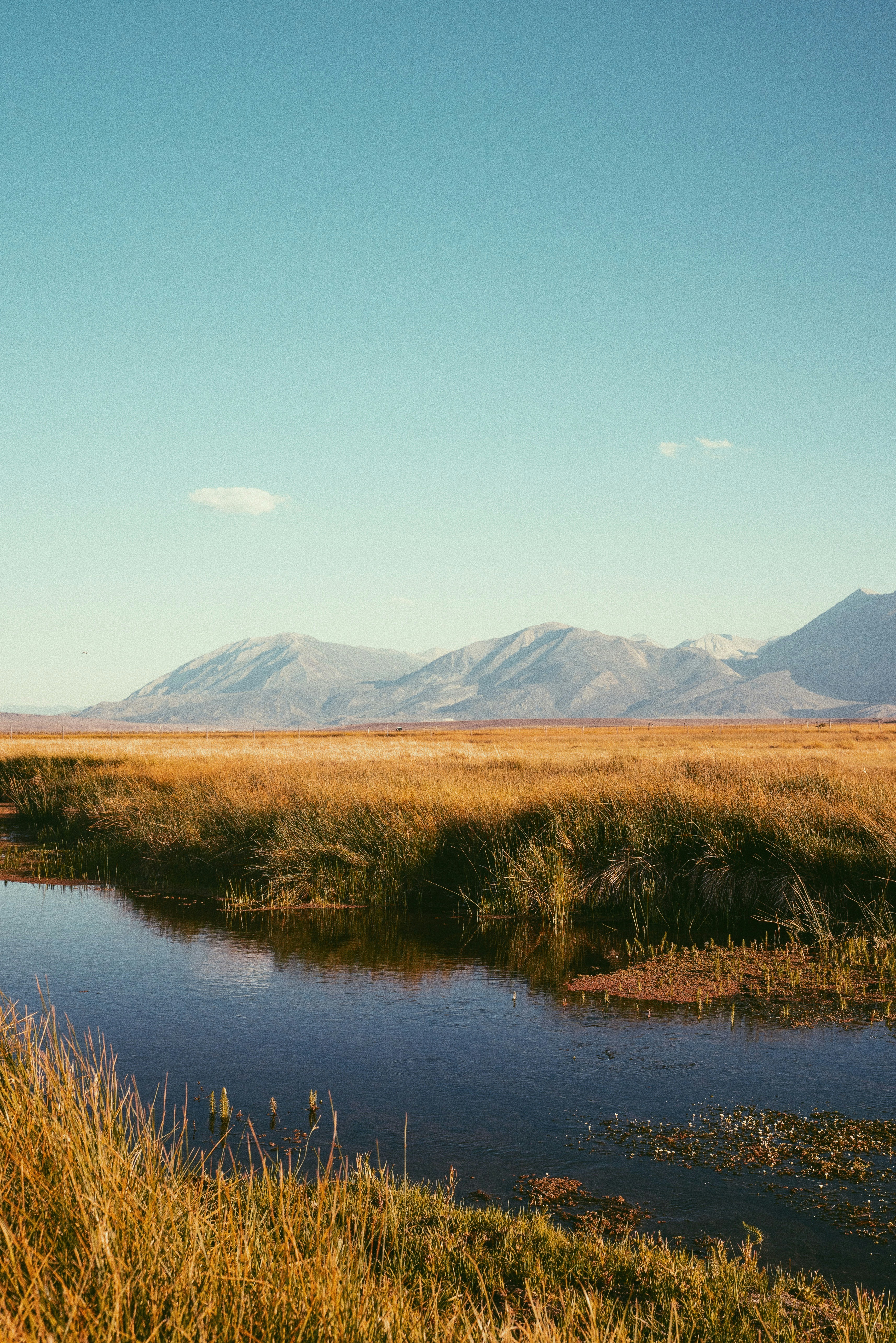 brown grass field near lake and mountains during daytime