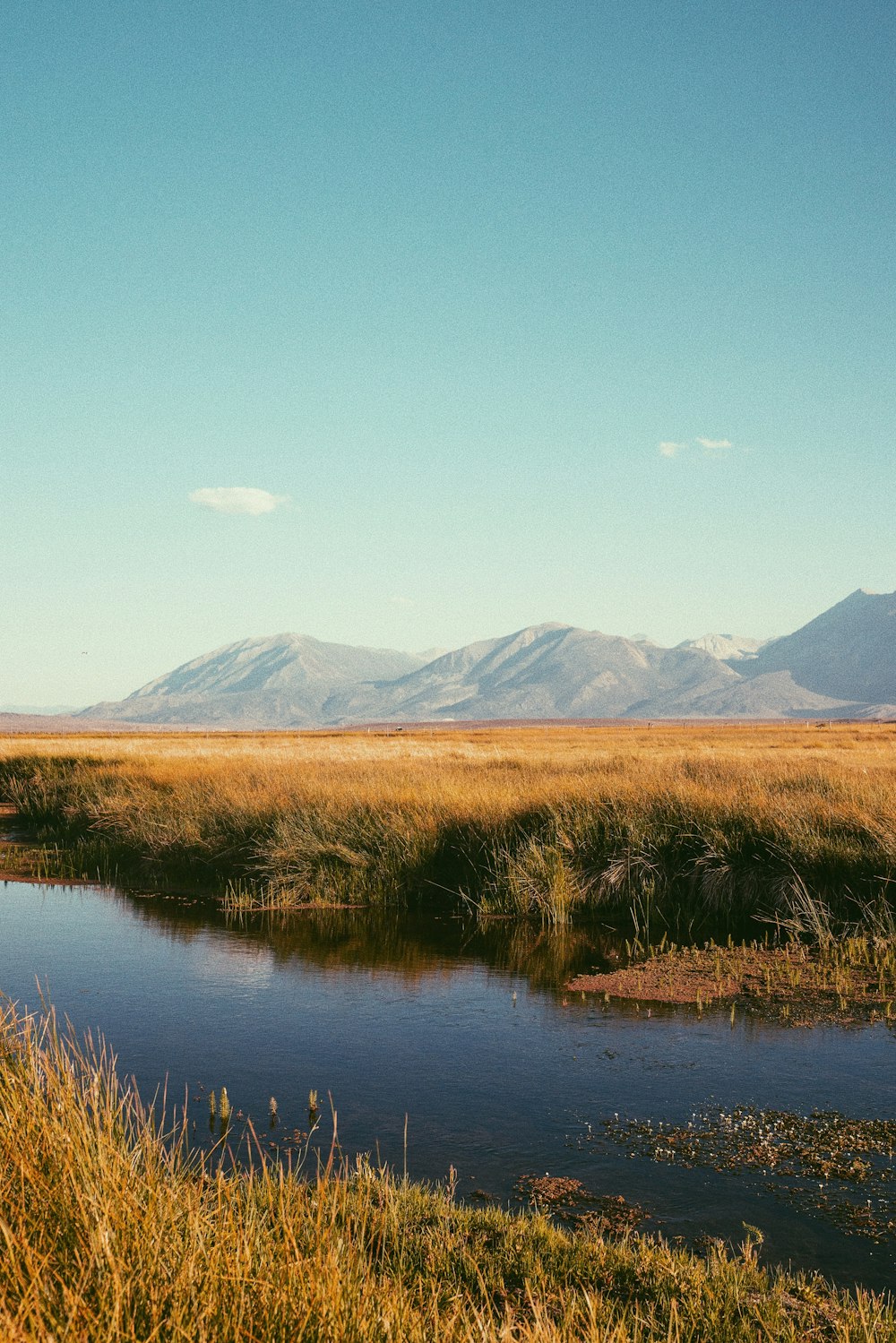 brown grass field near lake and mountains during daytime