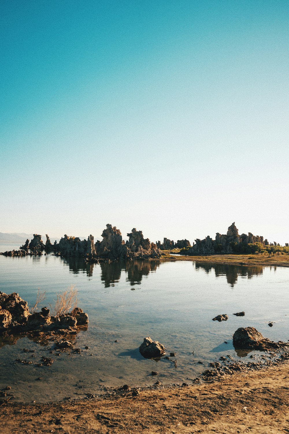 body of water near trees during daytime