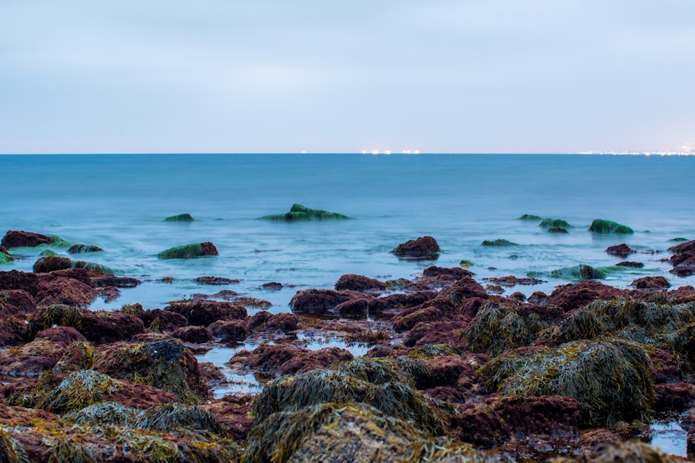 brown rocks on sea shore during daytime