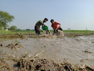 Consultants collecting soil samples in a remote outback location.