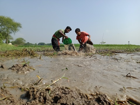 Two individuals are working in a muddy field, using green and brown containers to scoop water. The setting is rural, with grassy fields and trees in the background under a clear sky.