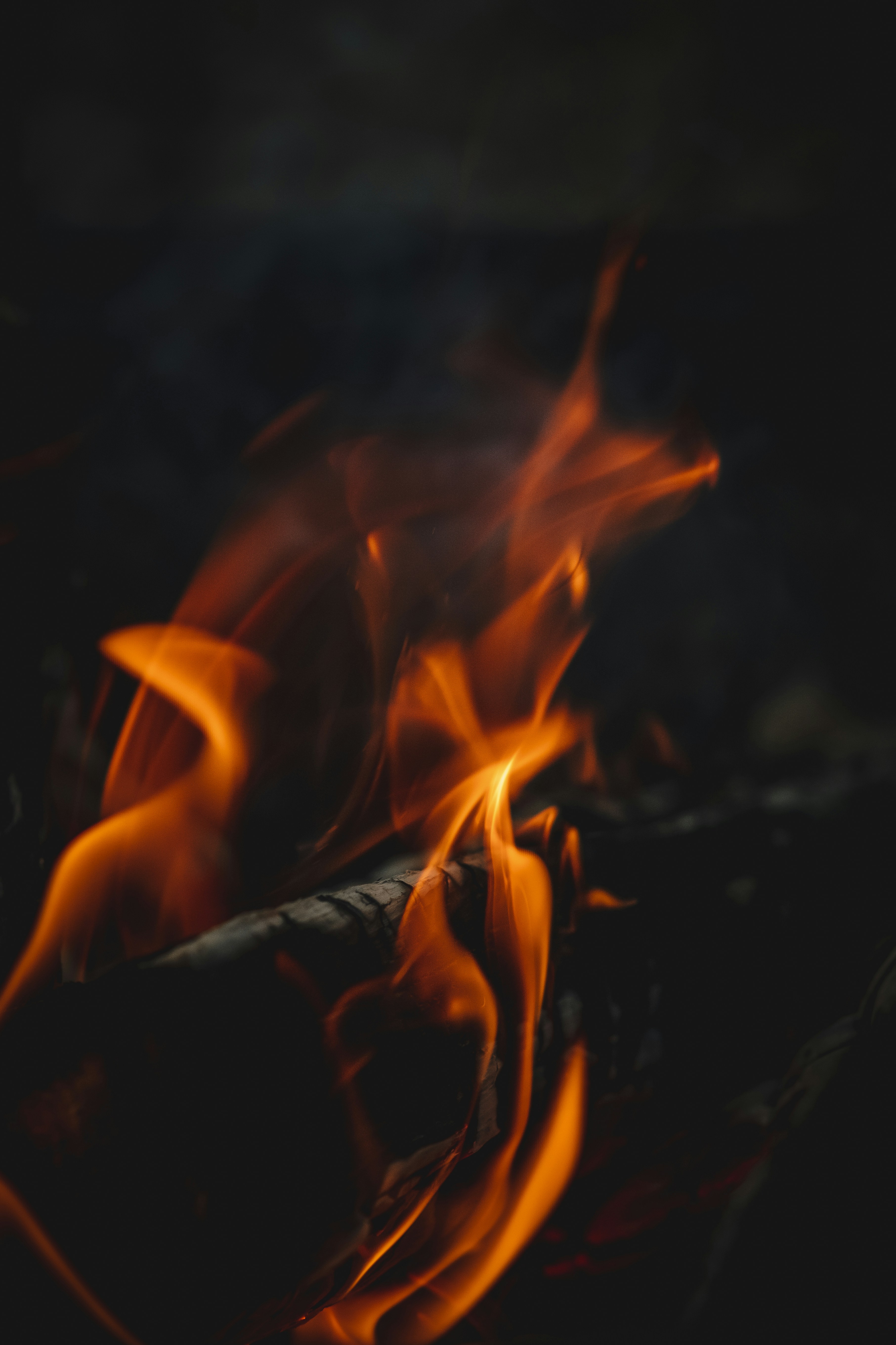 Photo by dbeamer_jpg