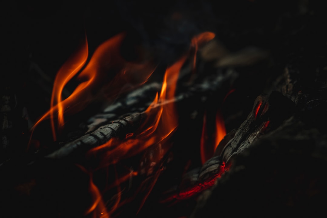 burning wood in close up photography