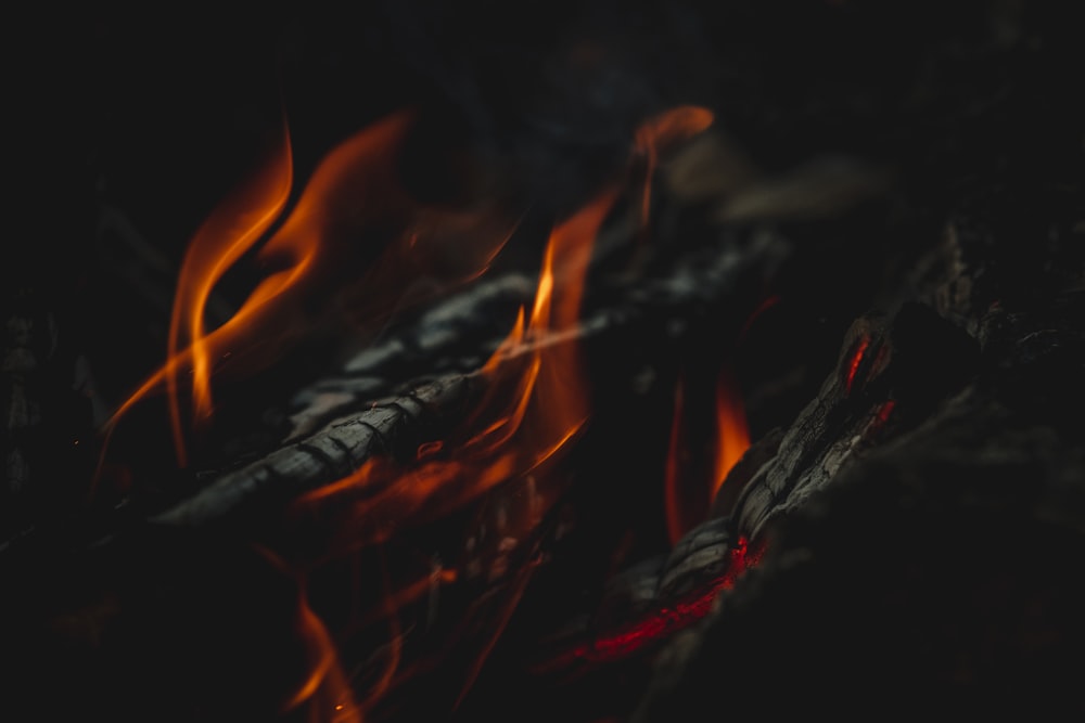 burning wood in close up photography