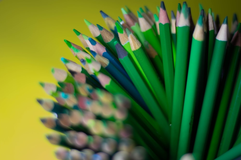 green blue and purple coloring pencils