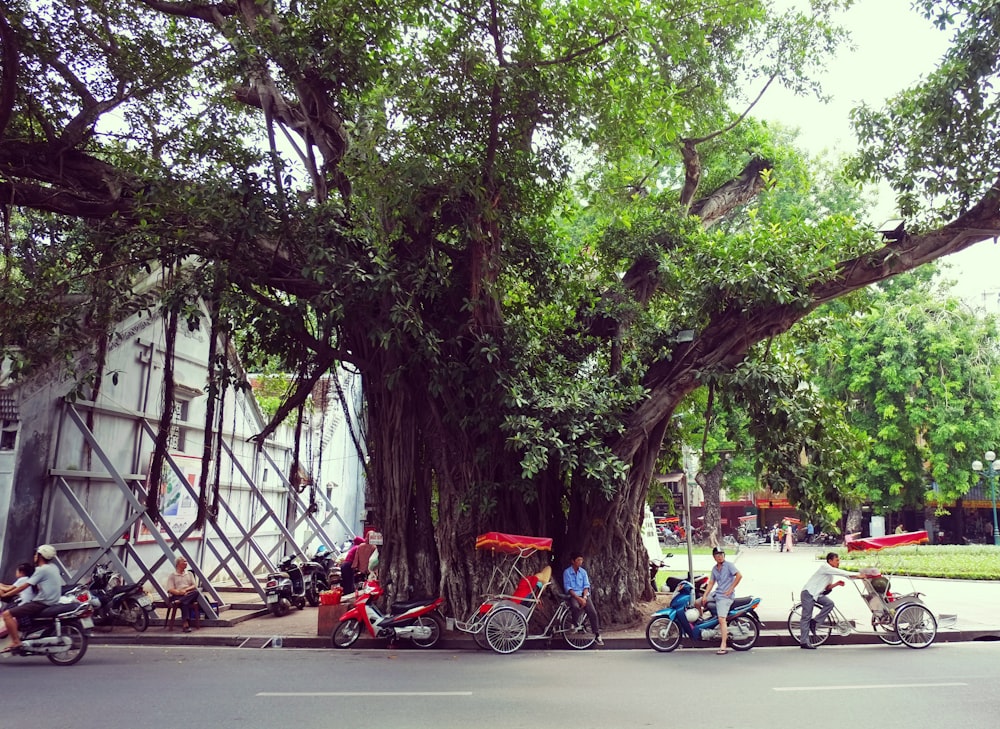 people riding bicycles on road during daytime