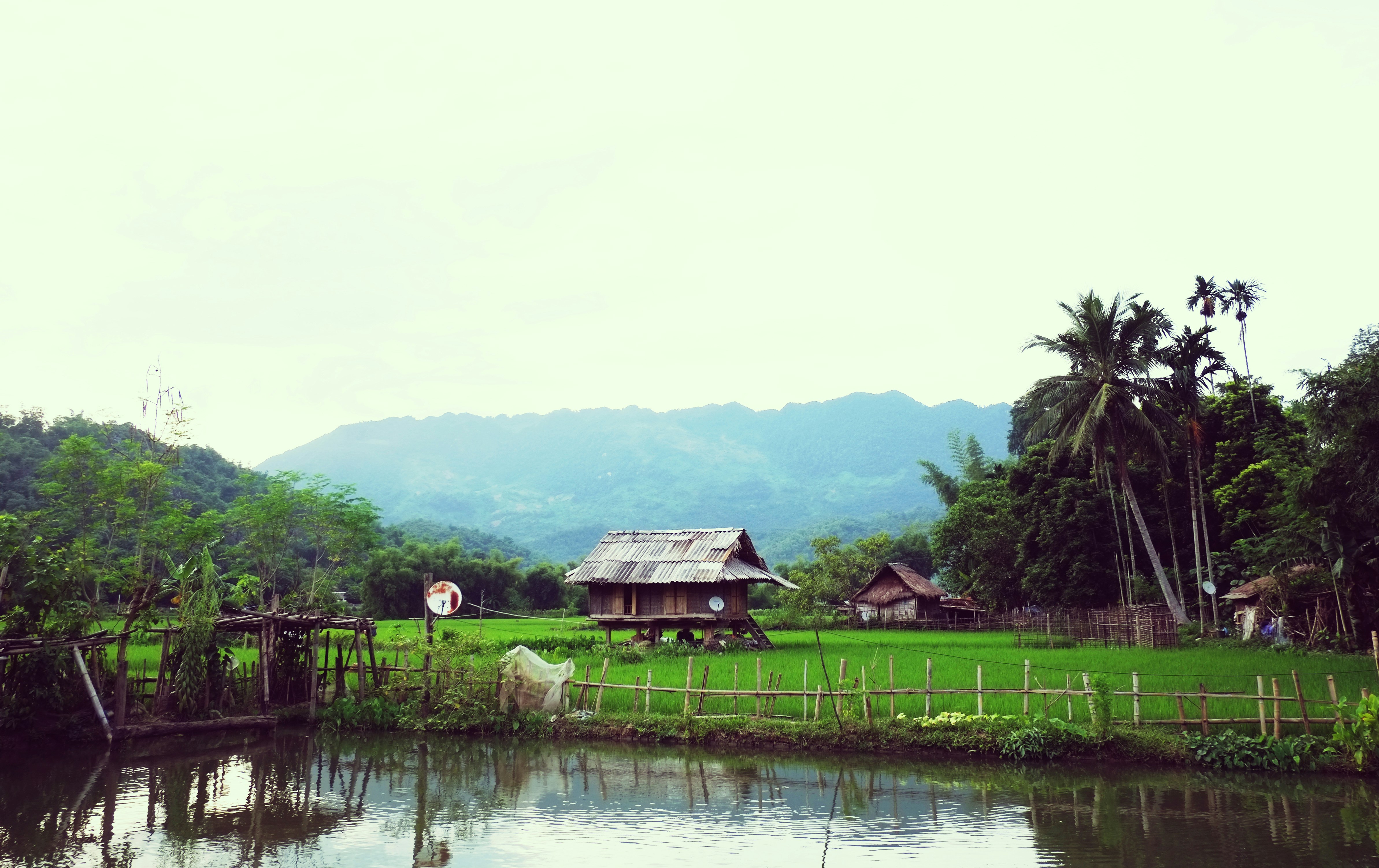 brown wooden house near green grass field and body of water during daytime