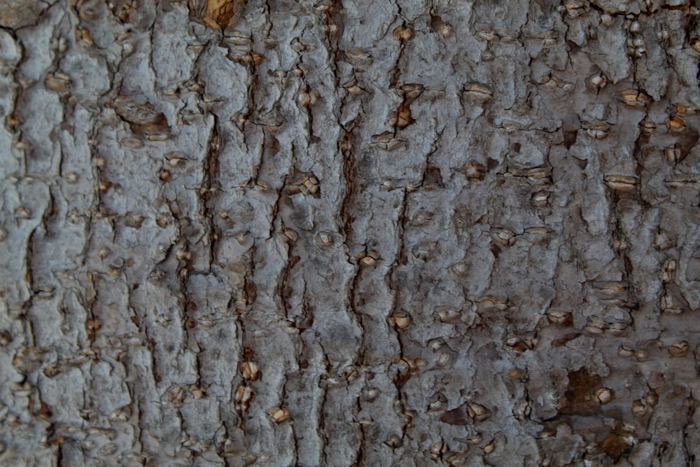 brown and gray concrete wall