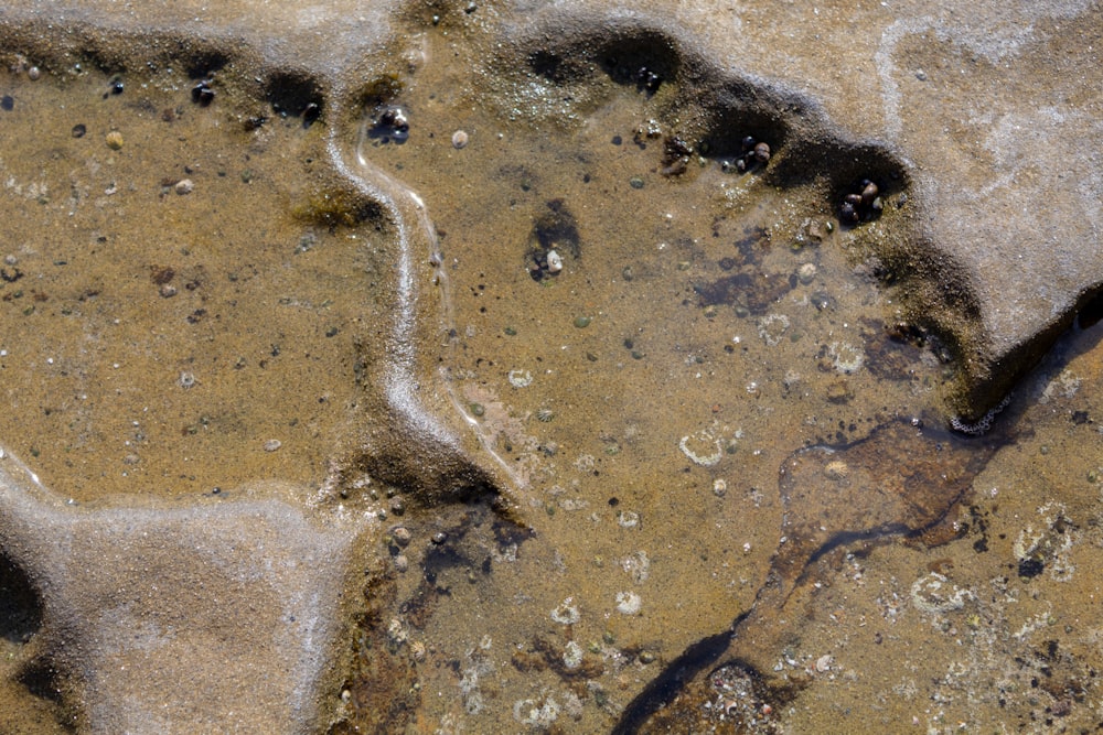 brown sand with water during daytime