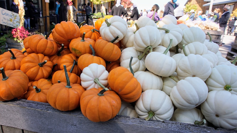 orange pumpkins on gray wooden table