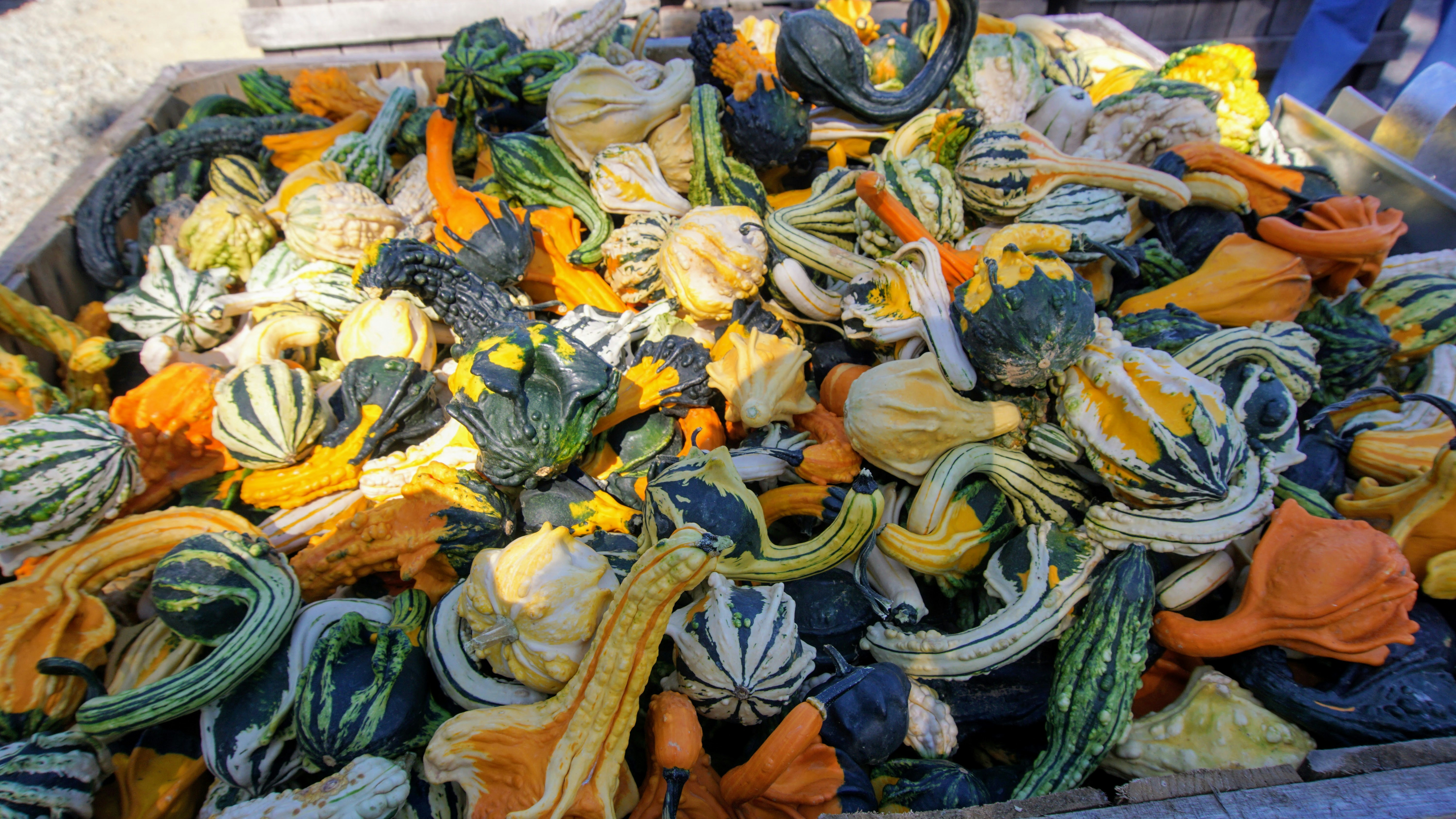 フードロス削減の電力効果は？食品廃棄減少による間接的省エネ関連画像