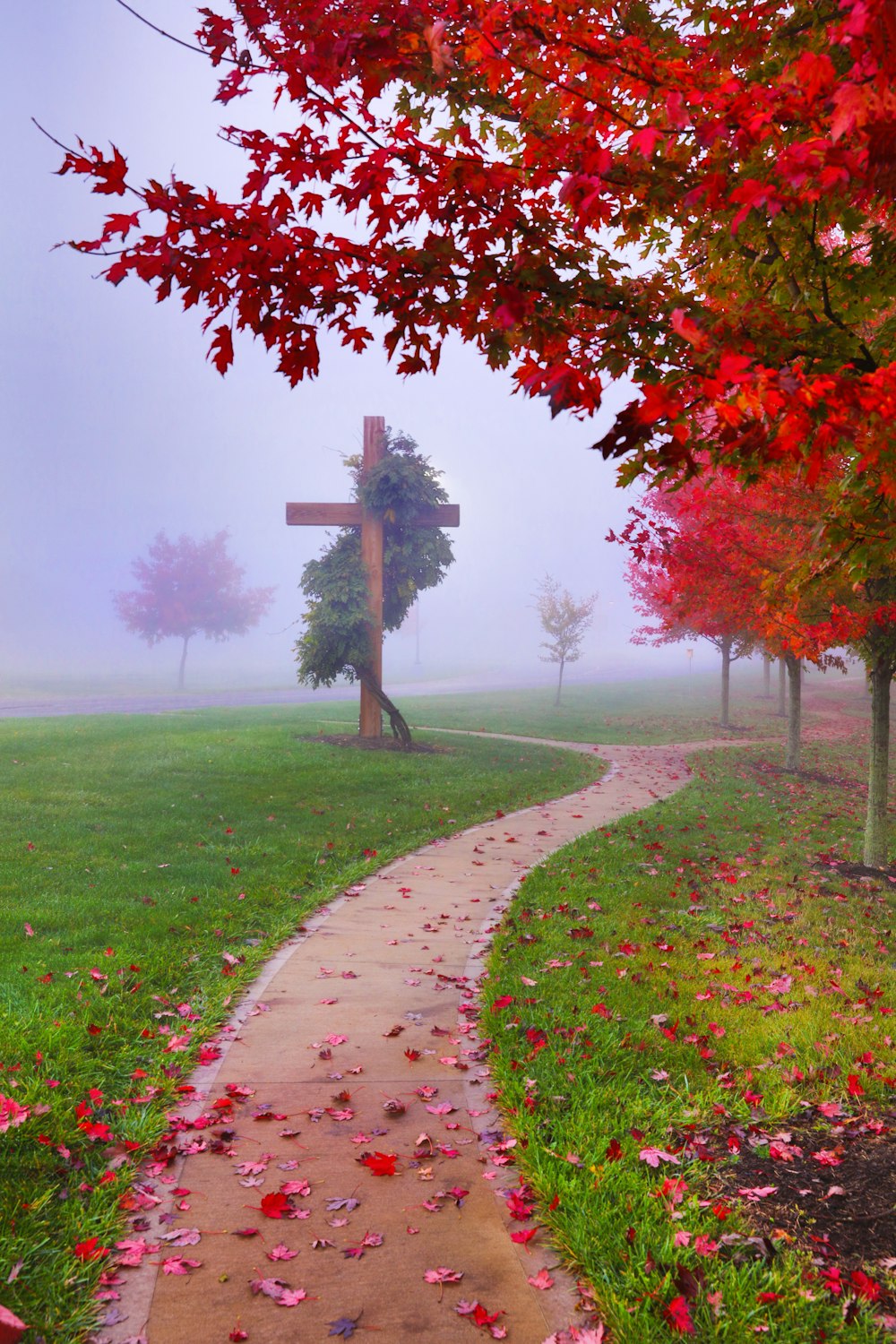 brown wooden cross on green grass field near red leaf tree during daytime