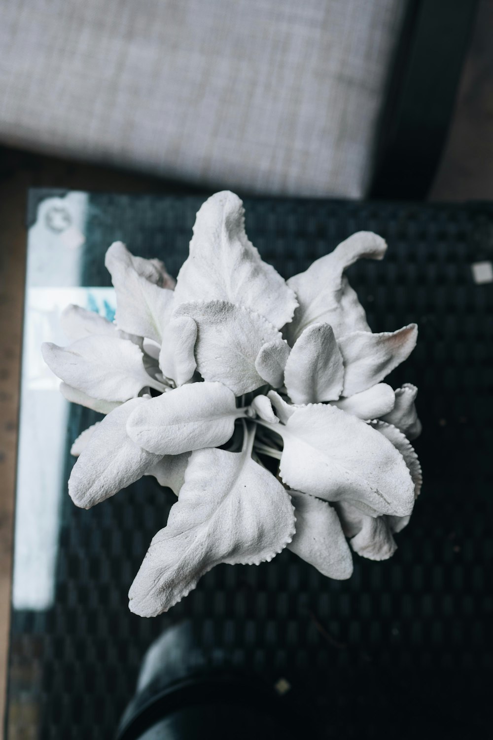 white flower on black table