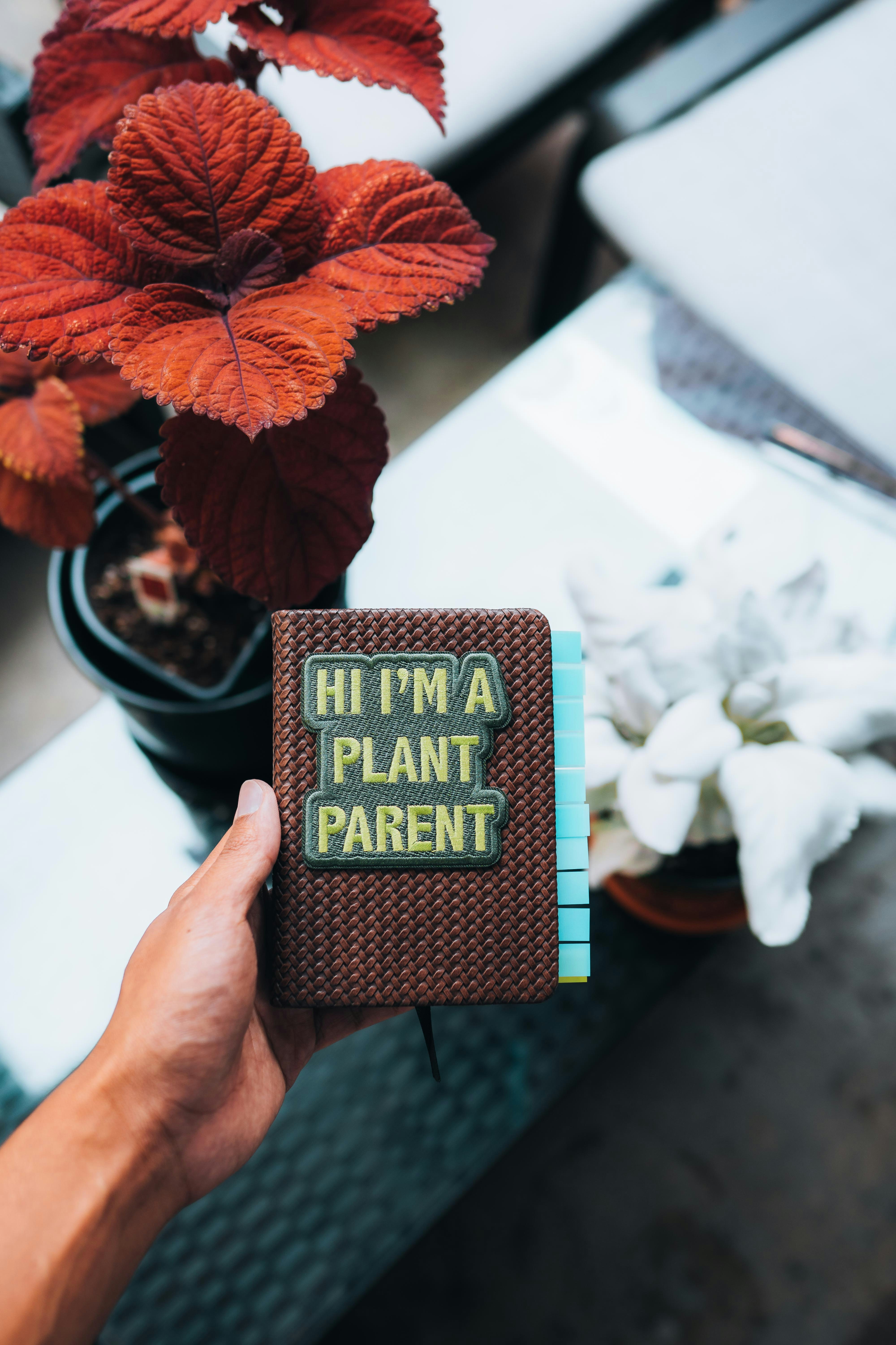 a person holding a book that says hit'em a plant parent