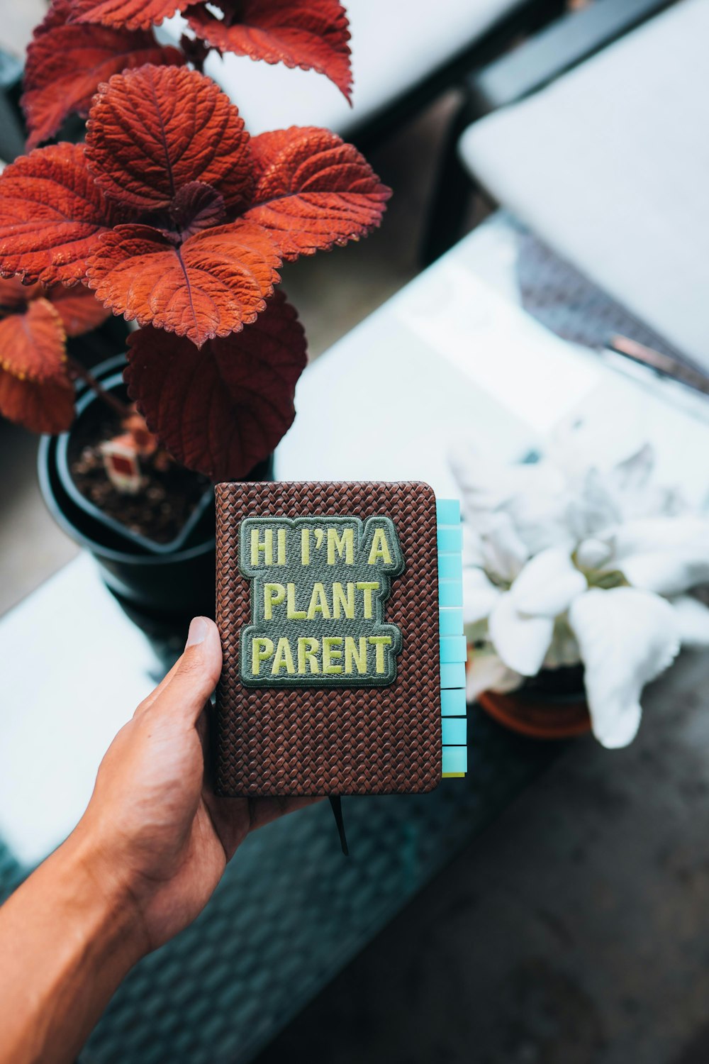 a person holding a book that says hit'em a plant parent