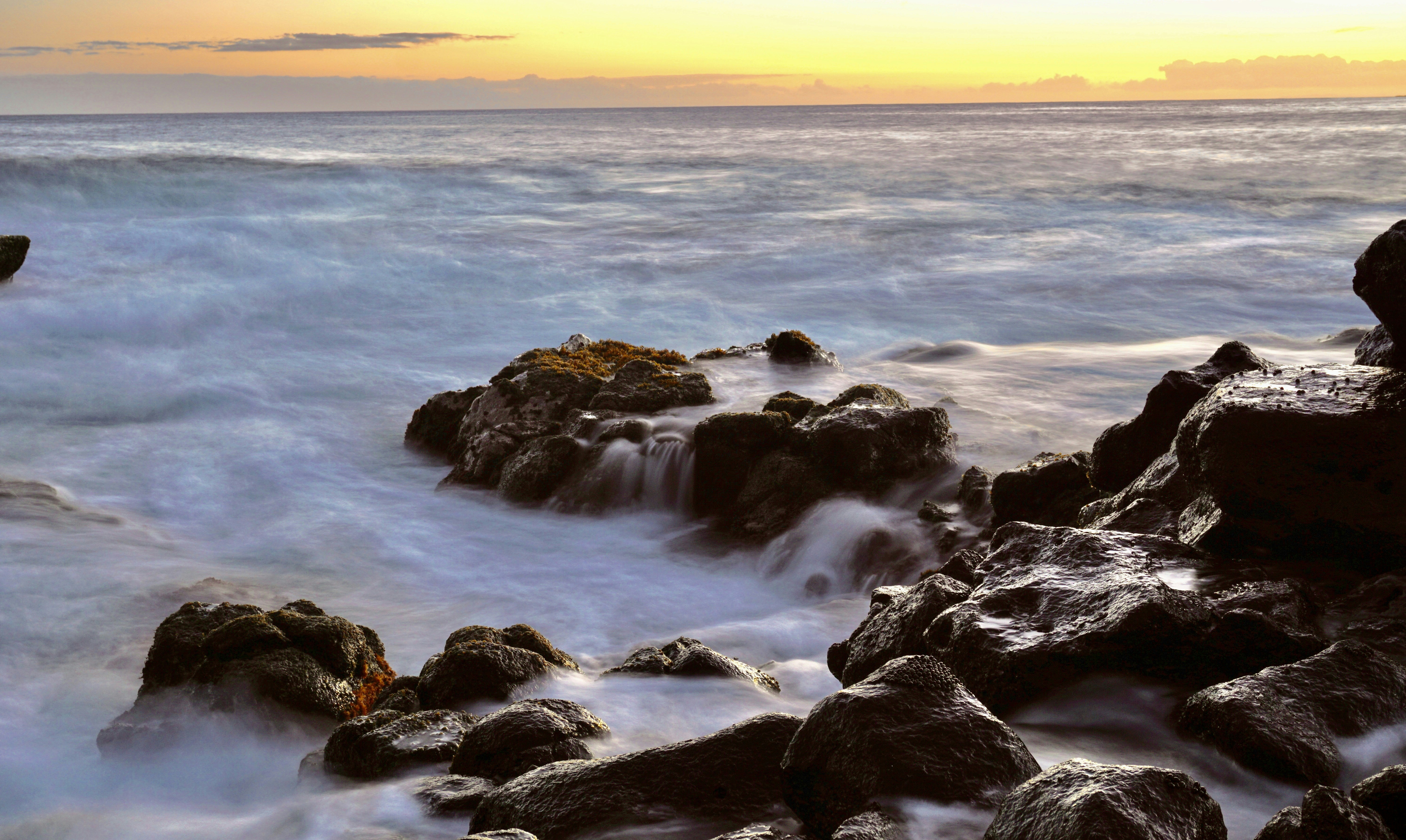 Photo by knut____robinson