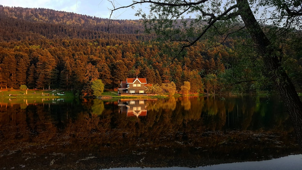 brown and white house near lake surrounded by trees during daytime